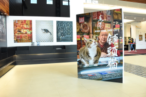 Hong Kong Market Cats Photography Exhibition (27 Feb - 16 Mar 2018)